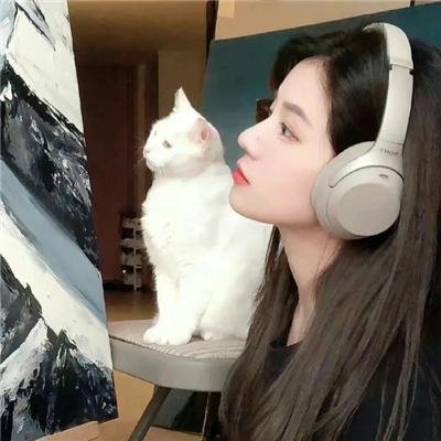 求婚大作战