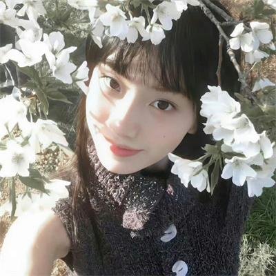 新楚留香